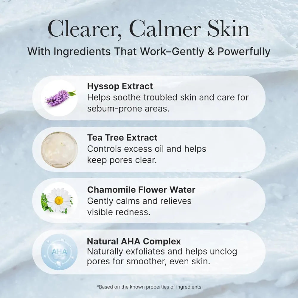 ARENCIA Hyssop Sebum Control Rice Cake Cleanser 150g